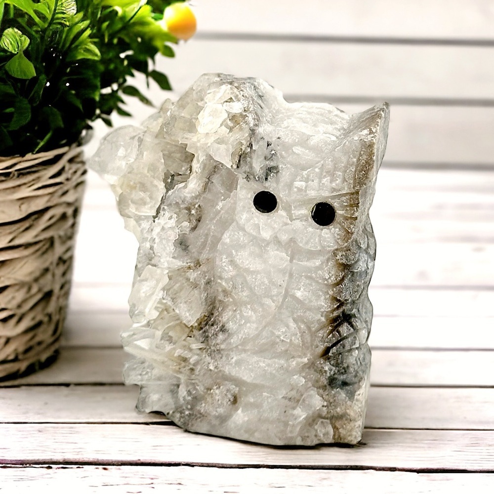 Owl Hand Carved Natural Quartz Healing Crystal Geode